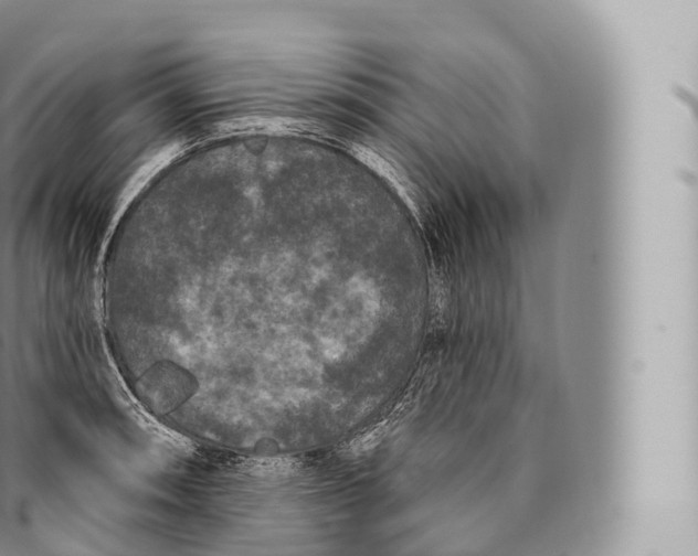 X0000096491090200802141740