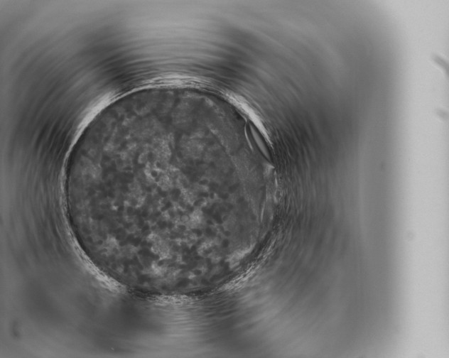 X0000096491091200802141740