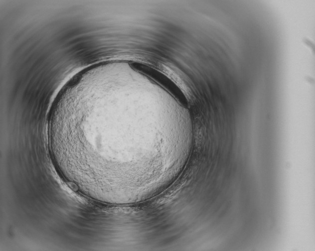 X0000096491092200802141740