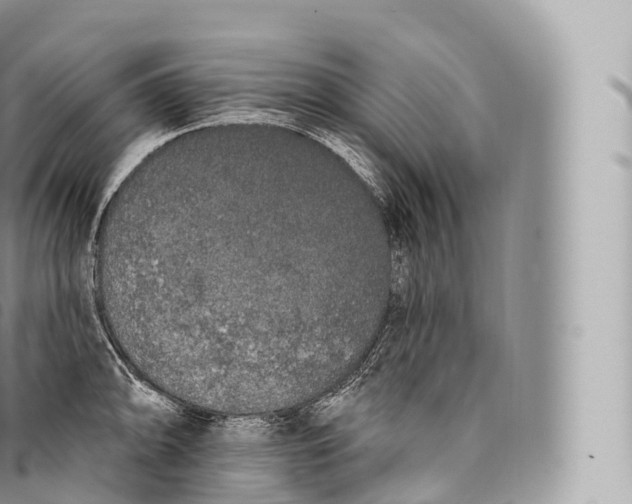 X0000096491094200802141740