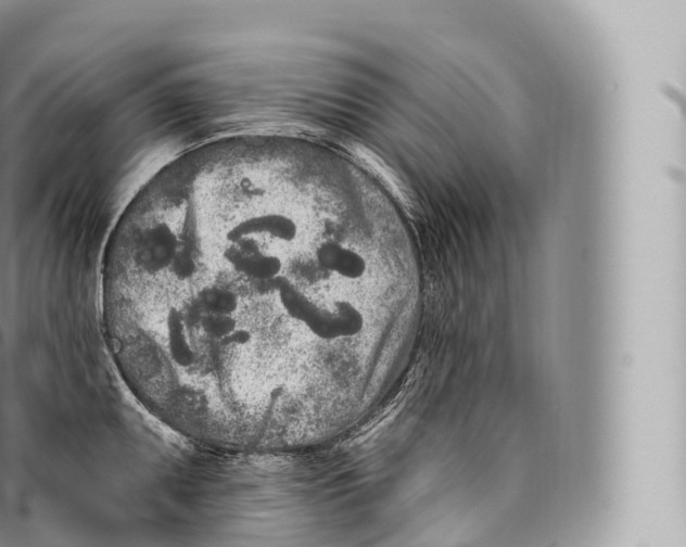 X0000096491095200802141740