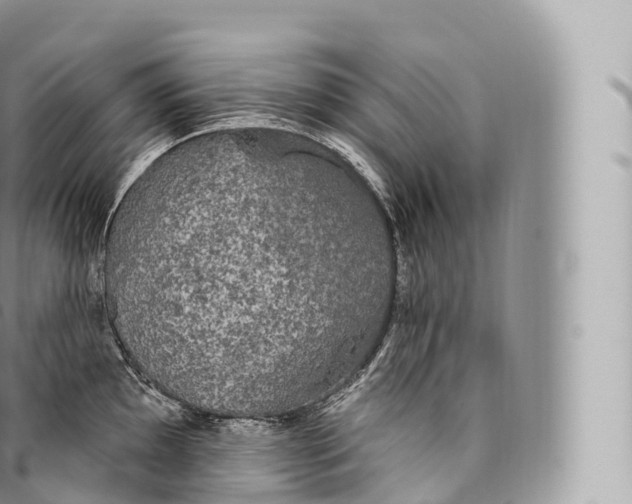 X0000096491097200802141740