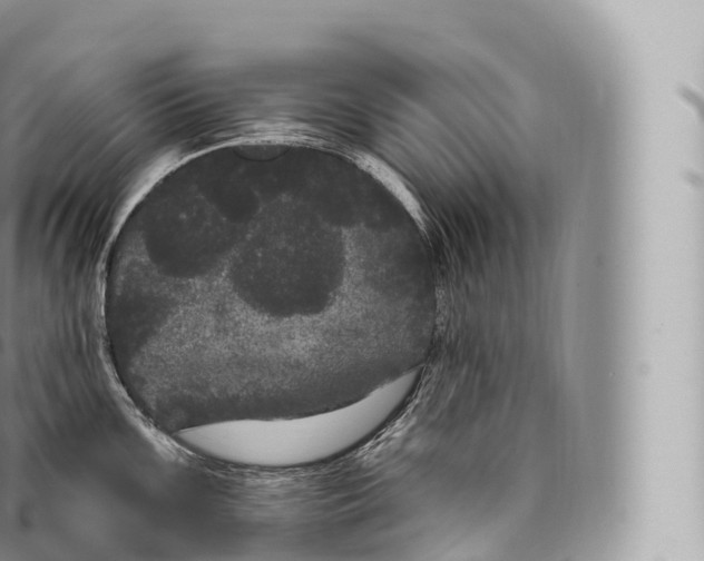 X0000096491099200802141740