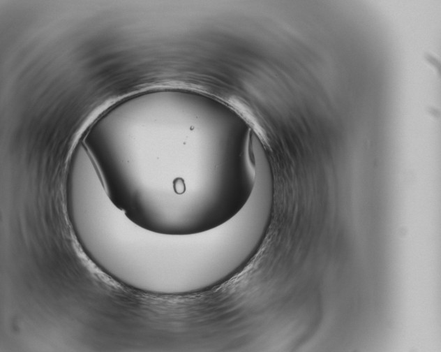 X0000096491100200802141740