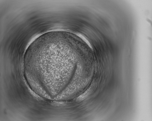 X0000096491101200802141740