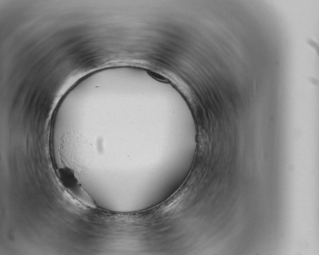 X0000096491102200802141740