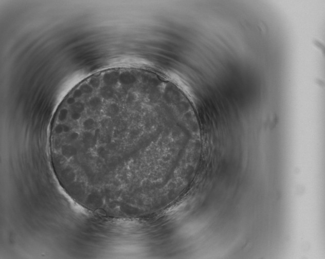 X0000096491103200802141740