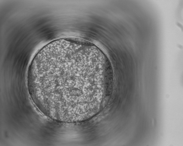 X0000096491104200802141740