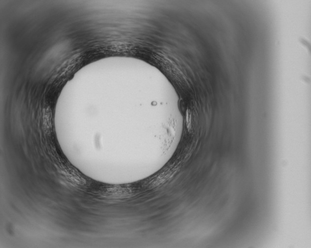 X0000096491107200802141739