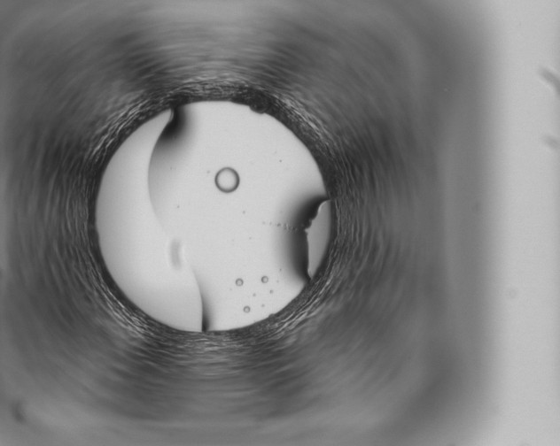 X0000096491108200802141739