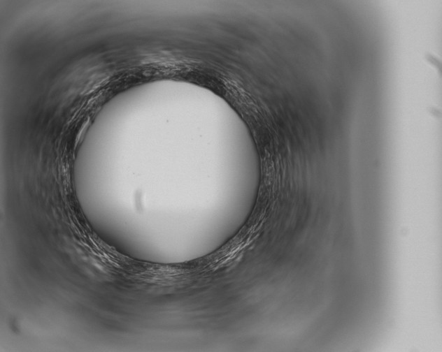 X0000096491109200802141739