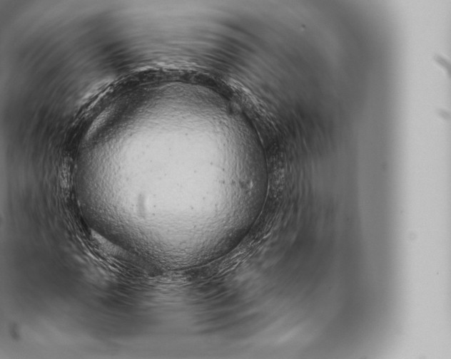 X0000096491110200802141739