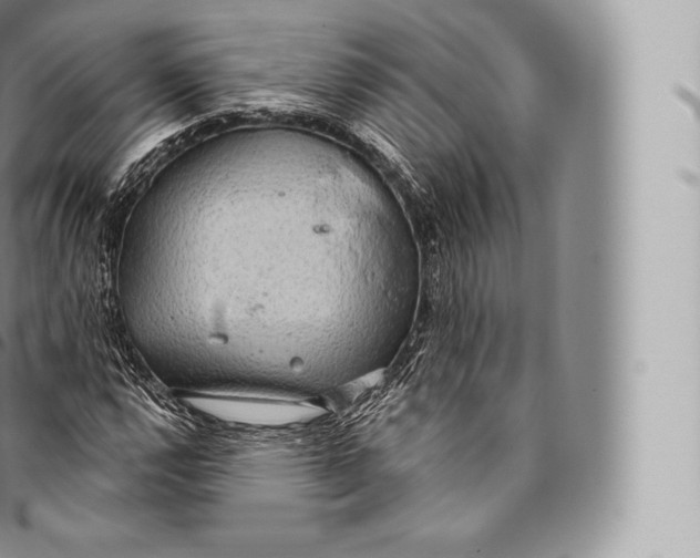 X0000096491112200802141739