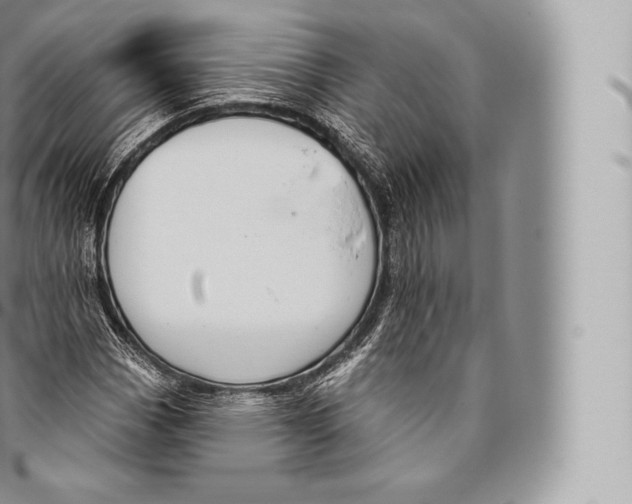 X0000096491113200802141739