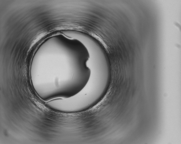 X0000096491114200802141739