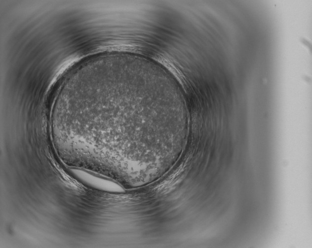 X0000096491115200802141739