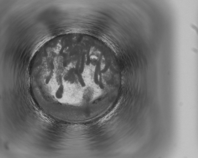 X0000096491117200802141739