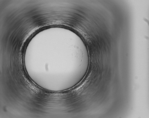 X0000096491118200802141739