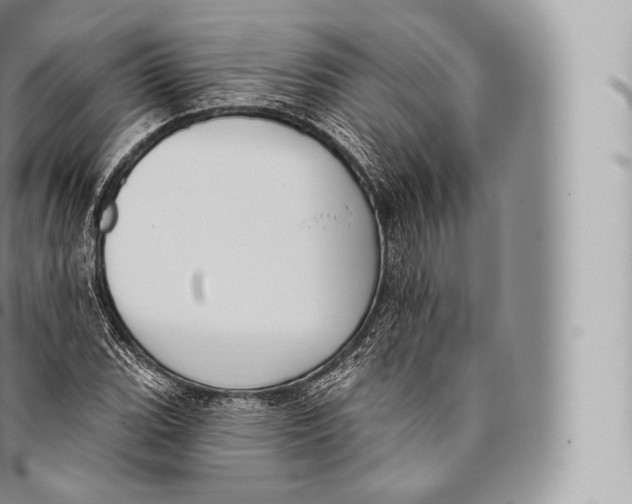 X0000096491119200802141739