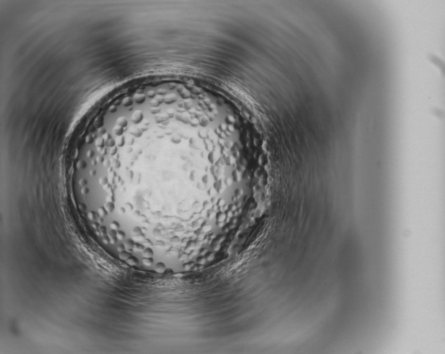 X0000096491120200802141739