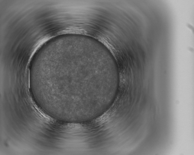 X0000096491123200802141739