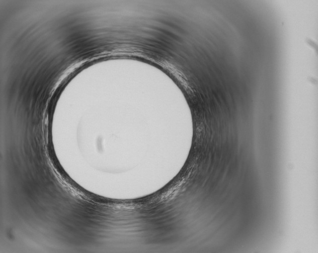 X0000096491126200802141739