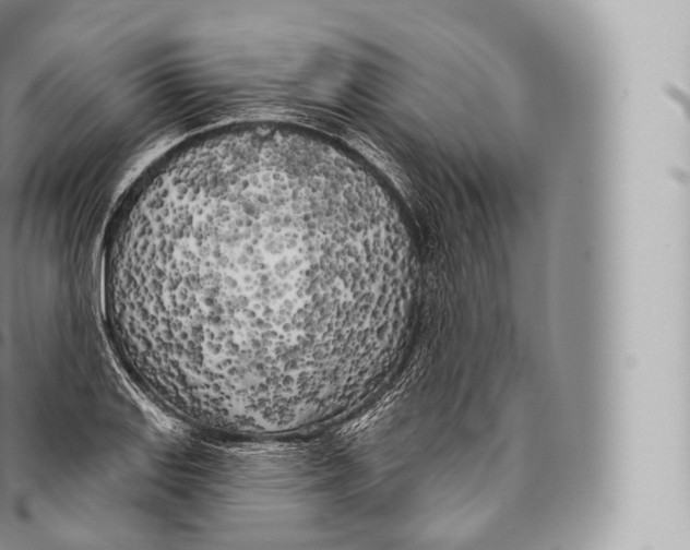 X0000096491127200802141739