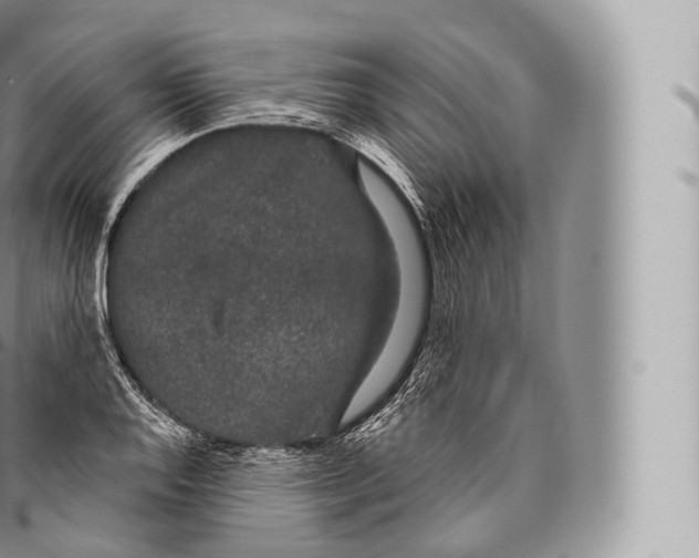 X0000096491128200802141739