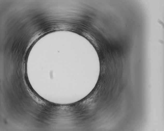 X0000096491130200802141739