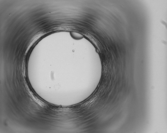 X0000096491131200802141739