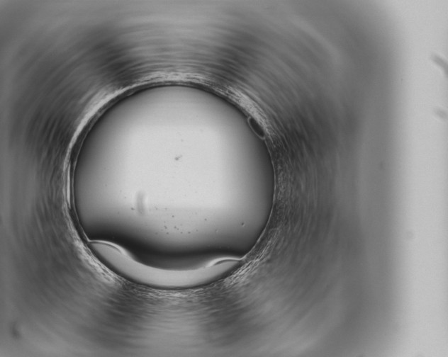 X0000096491132200802141739