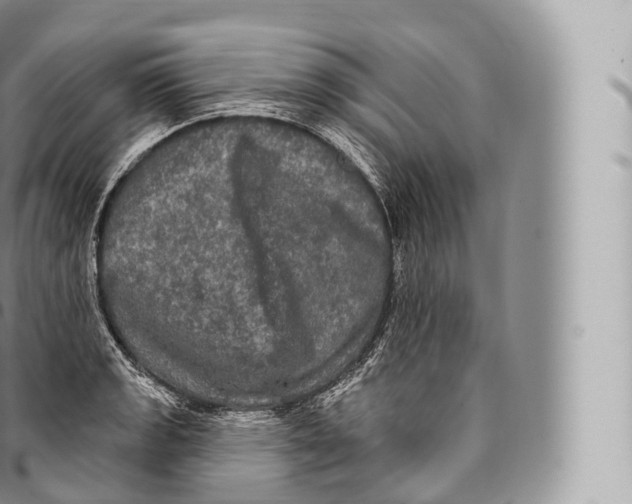 X0000096491133200802141739