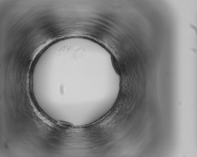 X0000096491134200802141739