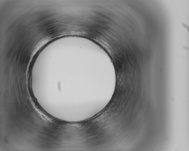 X0000096491135200802141739