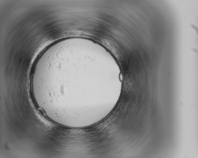 X0000096491136200802141739