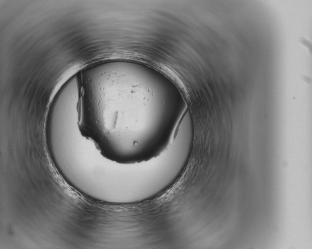 X0000096491138200802141739