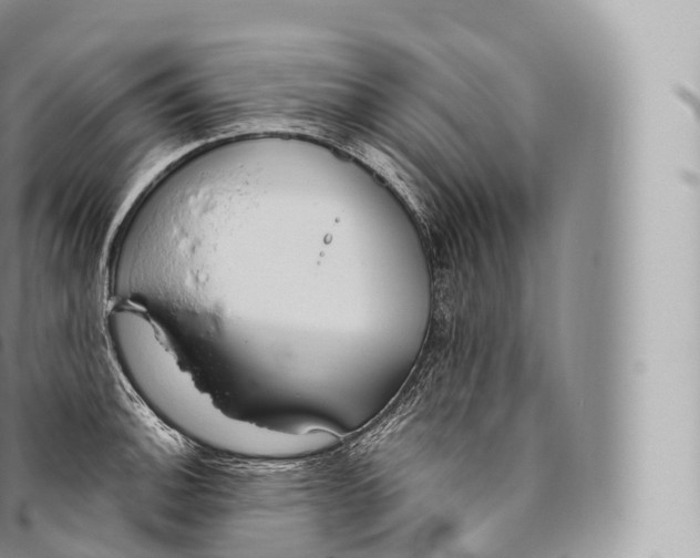 X0000096491140200802141739