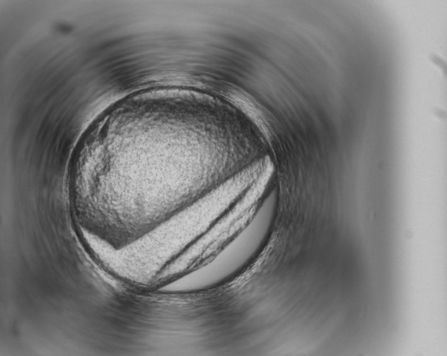 X0000096491141200802141739