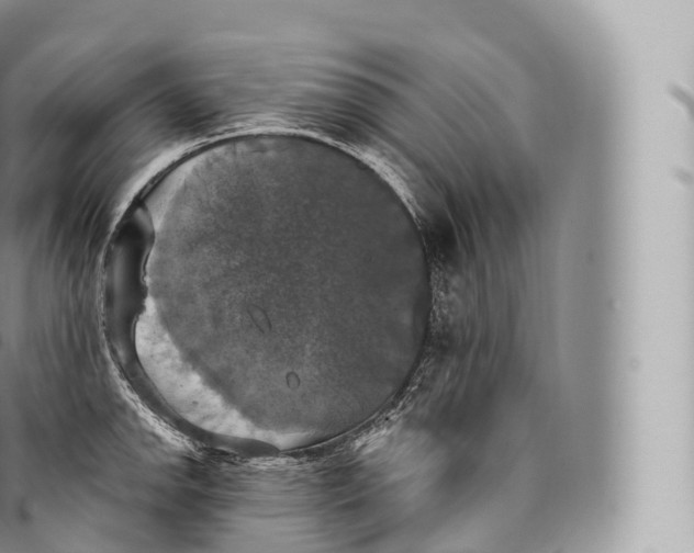 X0000096491142200802141739