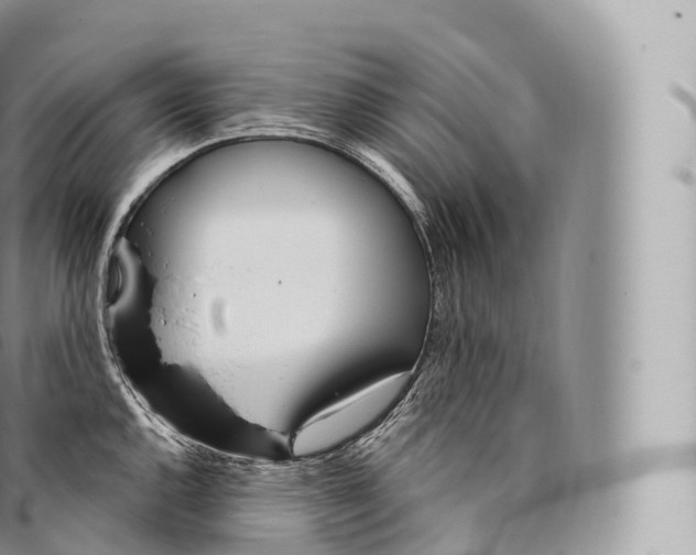 X0000096491144200802141739