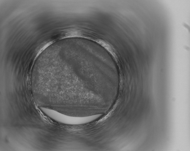 X0000096491145200802141739