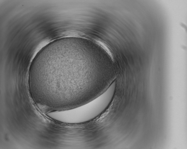 X0000096491146200802141739