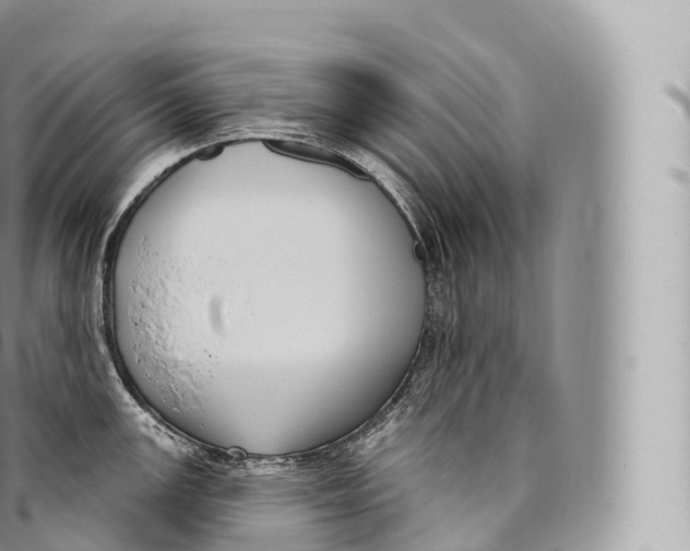 X0000096491147200802141739