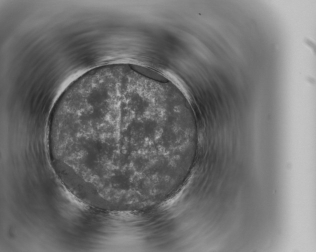 X0000096491149200802141739