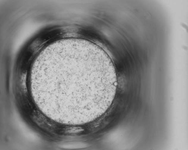 X0000096491150200802141739