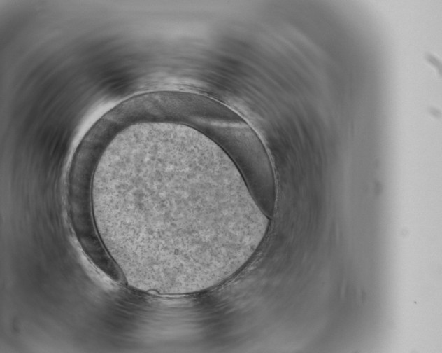 X0000096491152200802141739