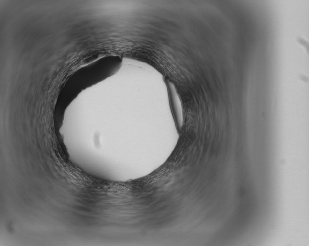 X0000096491153200802141739