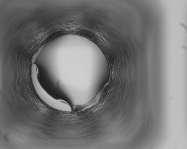 X0000096491156200802141739