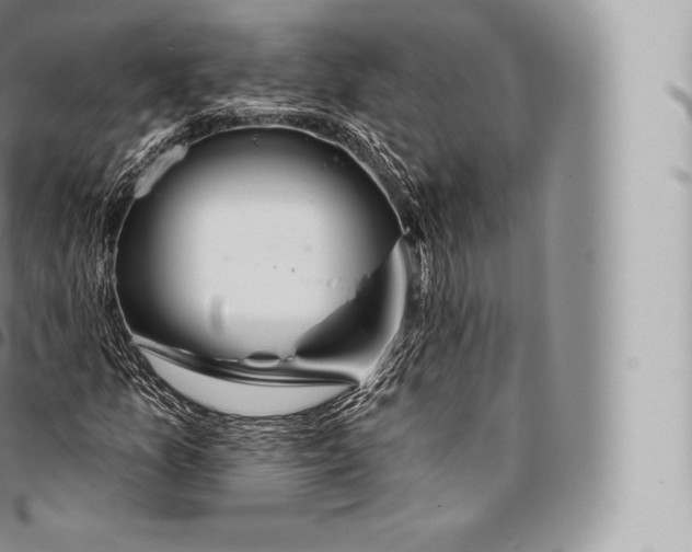 X0000096491157200802141739