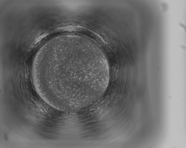 X0000096491158200802141739